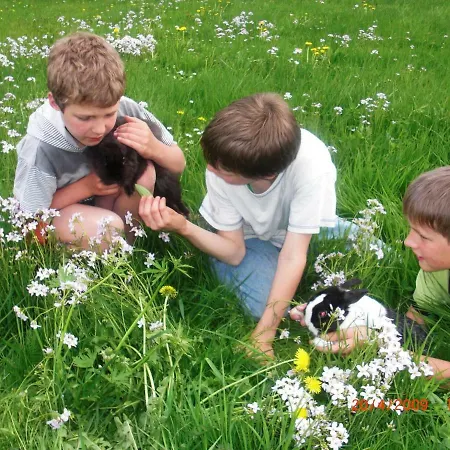 Ferien Auf Dem Bauernhof 1 Oberharmersbach