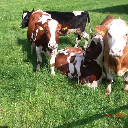 Ferien Auf Dem Bauernhof 1 Apartman *